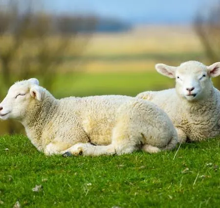 شقة Achter De Moehl *