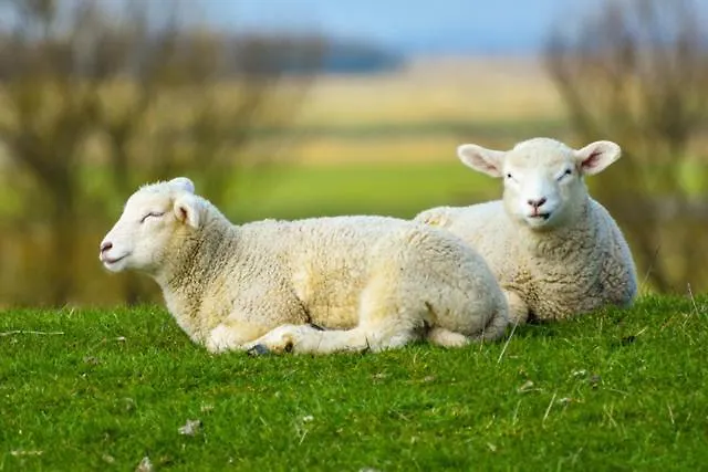 Appartement Achter De Möhl *